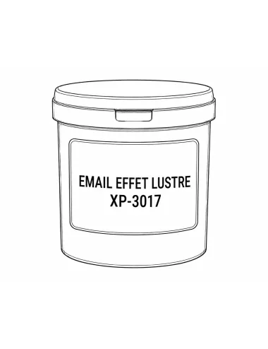 EMAIL EFFET LUSTRE XP-3017 (jusqu'à fin des stocks)