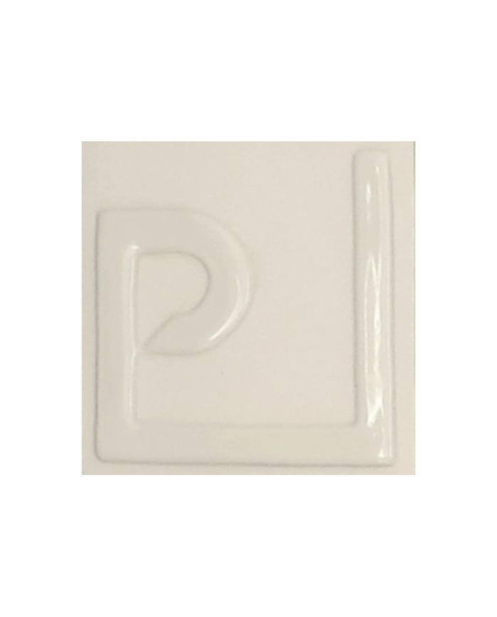 ENGOBE POUDRE GRES & PORCELAINE EASP-01 BLANC