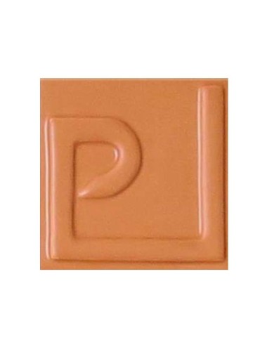 ÉMAIL FAÏENCE OPAQUE SANS PLOMB MAT CAMEL 250GR EMSP05L
