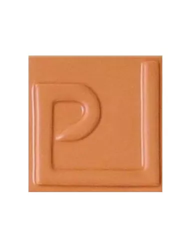 ÉMAIL FAÏENCE OPAQUE SANS PLOMB MAT CAMEL 250GR EMSP05L