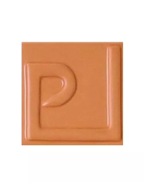 ÉMAIL FAÏENCE OPAQUE SANS PLOMB MAT CAMEL 1KG EMSP05LL