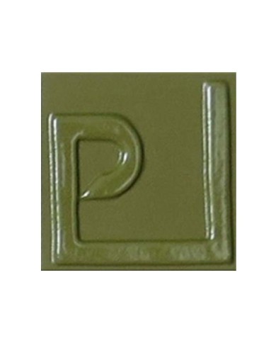 ENGOBE POUDRE ENSP-09 VERT MILITAIRE